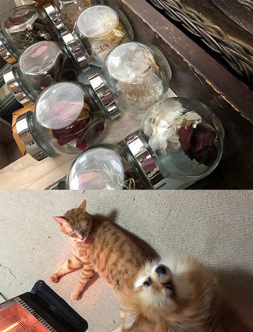 占い師光奈のお気に入り写真2